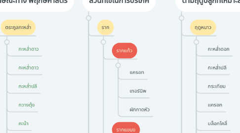 Mind Map: ประเภทผัก