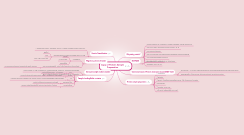 Mind Map: Copy of Protein Sample Preparation