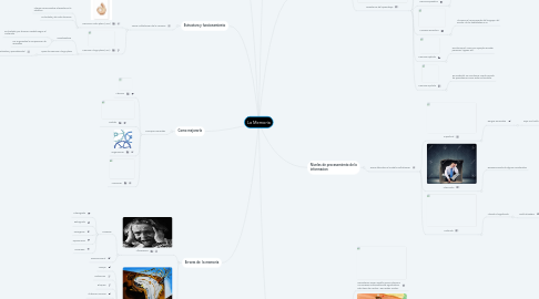 Mind Map: La Memoria