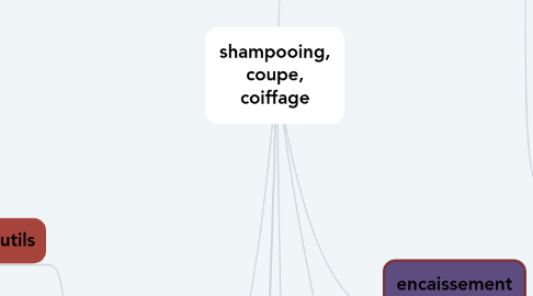 Mind Map: shampooing, coupe, coiffage