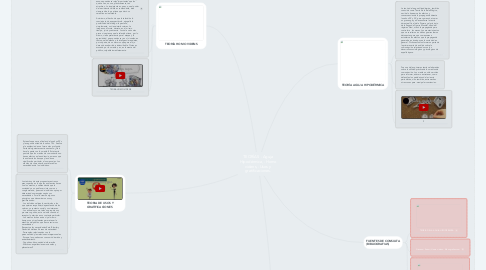 Mind Map: TEORÍAS -Aguja Hipodérmica, -Homo videns, -Usos y gratificaciones.