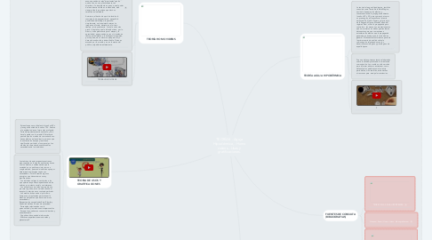 Mind Map: TEORÍAS  -Aguja Hipodérmica, -Homo videns, -Usos y gratificaciones.