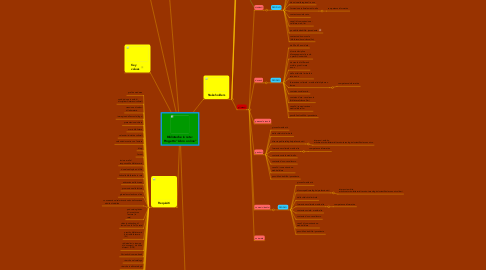 Mind Map: Biblioteche in rete : Progetto "Libro on line"