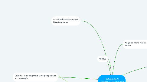 Mind Map: PROCESOS COGNOSCITIVOS