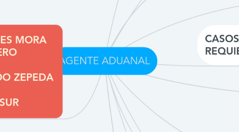 Mind Map: AGENTE ADUANAL