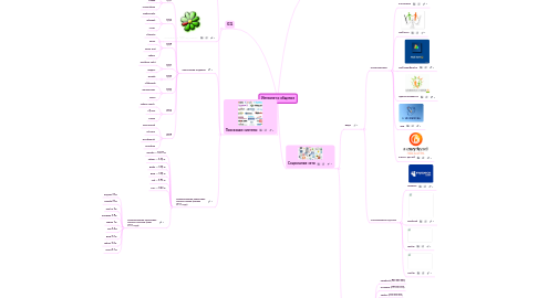 Mind Map: Интернет и общение