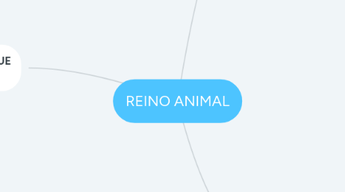 Mind Map: REINO ANIMAL