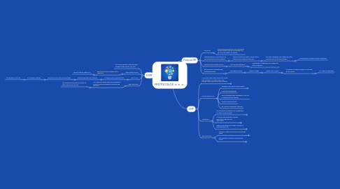 Mind Map: PROTOCOLOS