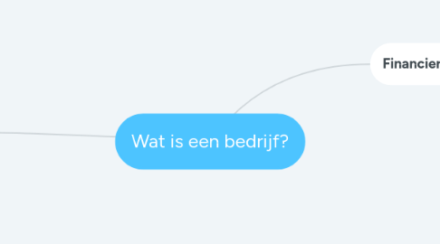 Mind Map: Wat is een bedrijf?