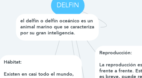 Mind Map: DELFIN