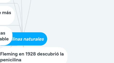 Mind Map: Penicilinas naturales