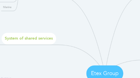Mind Map: Etex Group