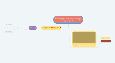 Mind Map: Pourquoi faut il se protéger du soleil ?