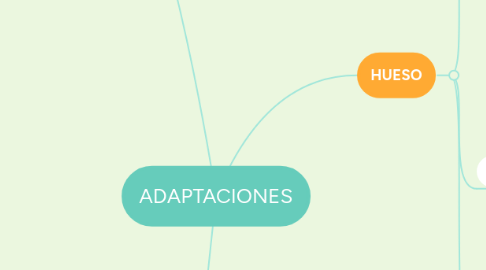 Mind Map: ADAPTACIONES