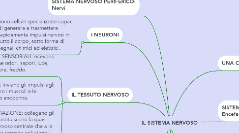 Mind Map: IL SISTEMA NERVOSO