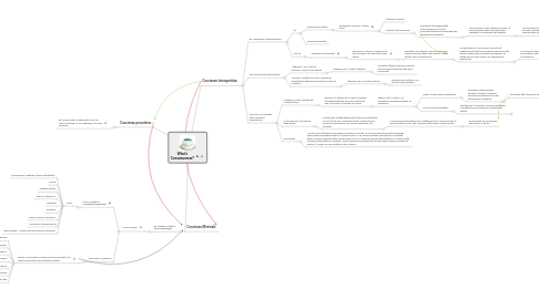 Mind Map: What's Consciousness?