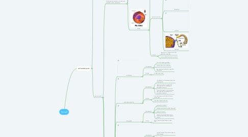 Mind Map: the cell