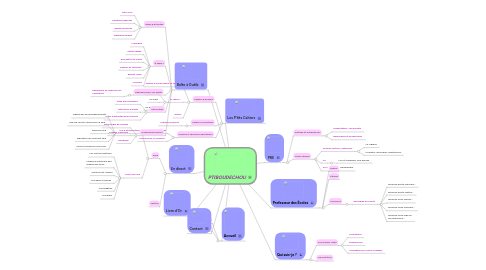 Mind Map: PTIBOUDECHOU