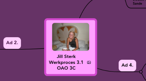 Mind Map: Jill Sterk Werkproces 3.1 OAO 3C