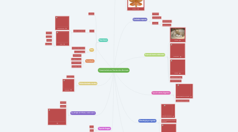 Mind Map: Características Gerais dos Animais