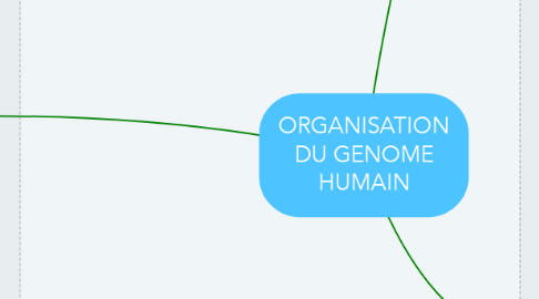 Mind Map: ORGANISATION DU GENOME HUMAIN