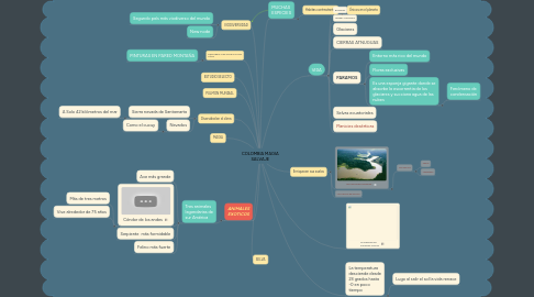 Mind Map: COLOMBIA MAGIA SALVAJE