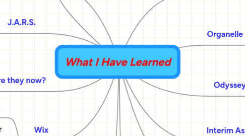 What I Have Learned | MindMeister Mind Map