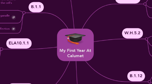 Mind Map: My First Year At Calumet