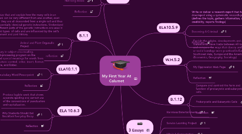 Mind Map: My First Year At Calumet