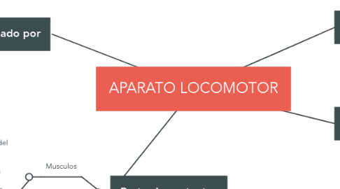 Mind Map: APARATO LOCOMOTOR