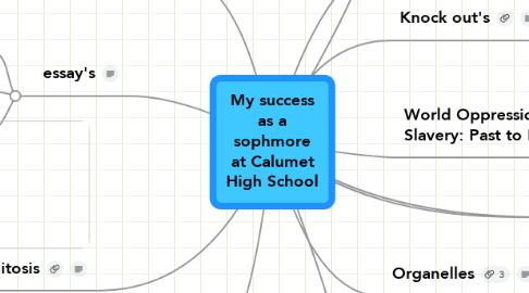 Mind Map: My success as a sophmore at Calumet High School