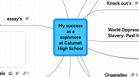 Mind Map: My success as a sophmore at Calumet High School