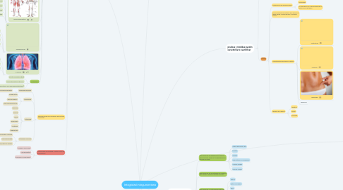 Mind Map: Integridad integumentaria