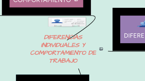 Mind Map: DIFERENCIAS INDIVIDUALES Y COMPORTAMIENTO DE TRABAJO