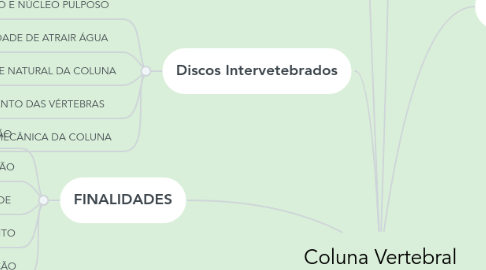 Mind Map: Coluna Vertebral