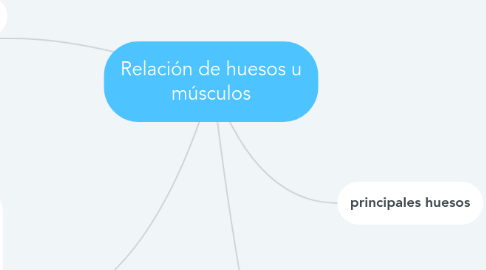 Mind Map: Relación de huesos u músculos