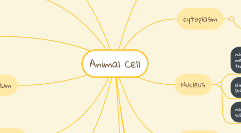 Mind Map: Animal Cell