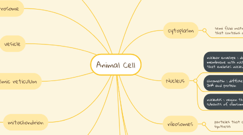 Animal Cell | MindMeister Mind Map Animal Cell | MindMeister Mind Map