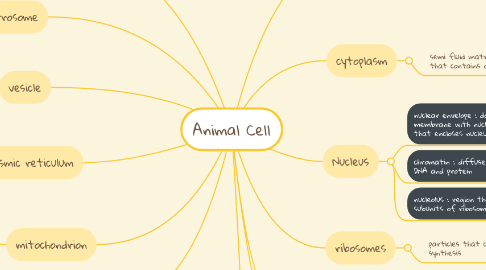 Mind Map: Animal Cell