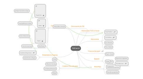 Mind Map: TICE en L3