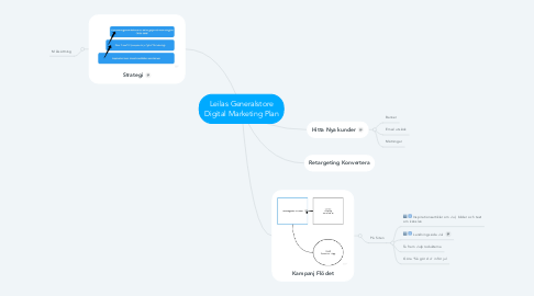 Mind Map: Leilas Generalstore Digital Marketing Plan