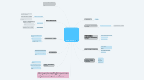 Mind Map: EL MANAGEMENT