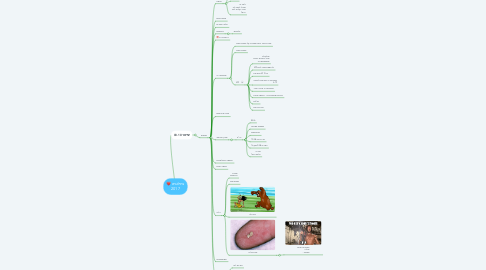 Mind Map: ביולוגיה 2017