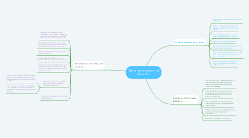 Mind Map: The large intestine and defaction