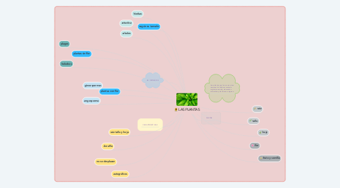 Mind Map: LAS PLANTAS