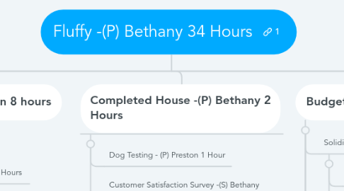 Mind Map: Fluffy -(P) Bethany 34 Hours