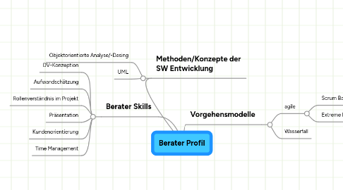 Mind Map: Berater Profil