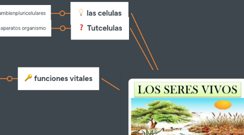 Mind Map: los seres bibos