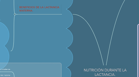 Mind Map: NUTRICIÓN DURANTE LA LACTANCIA.