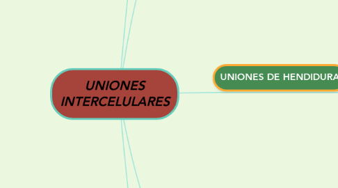 Mind Map: UNIONES INTERCELULARES